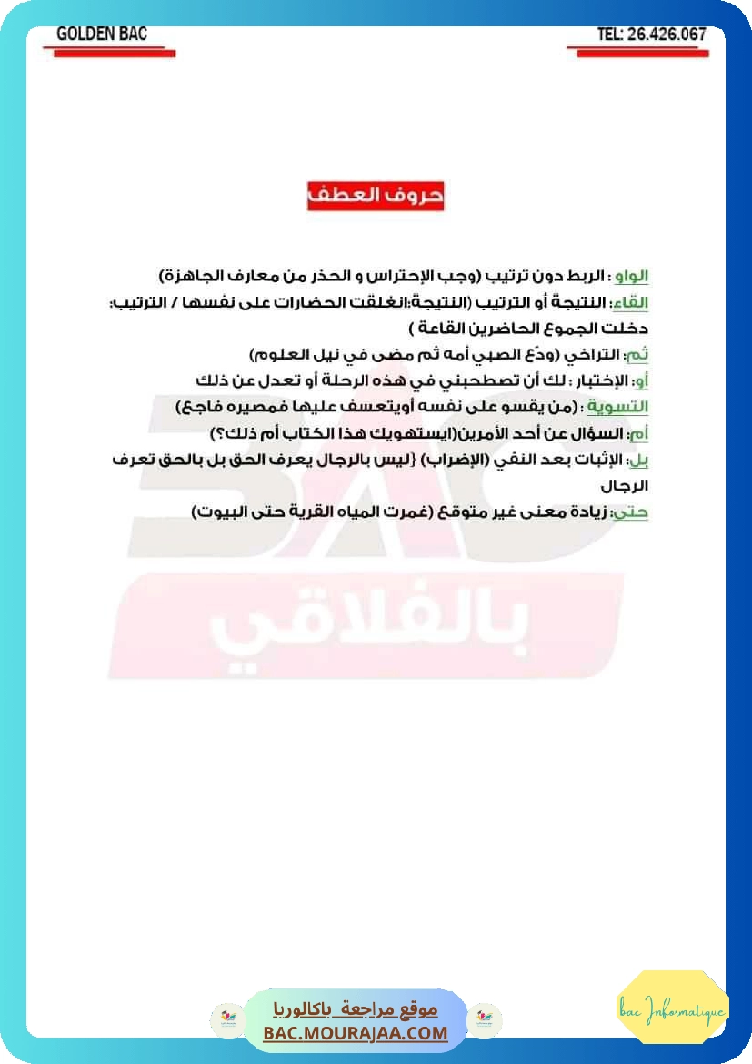 ملخص عربية