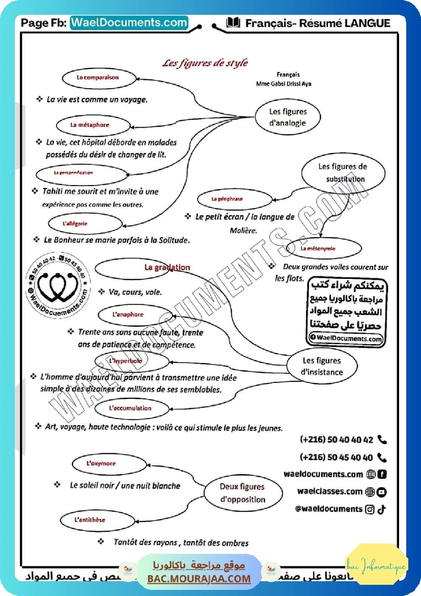 resume langue francais