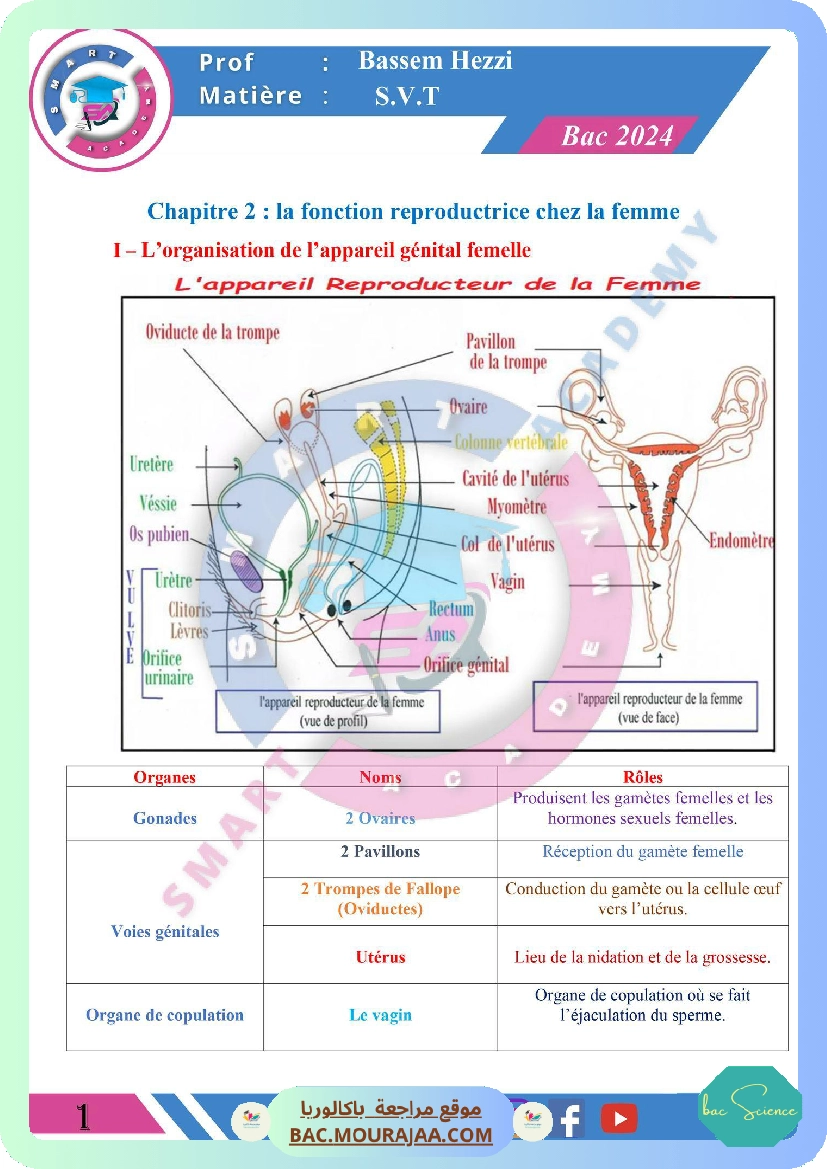 chapitre 2 la fonction reproductrice chez la femme
