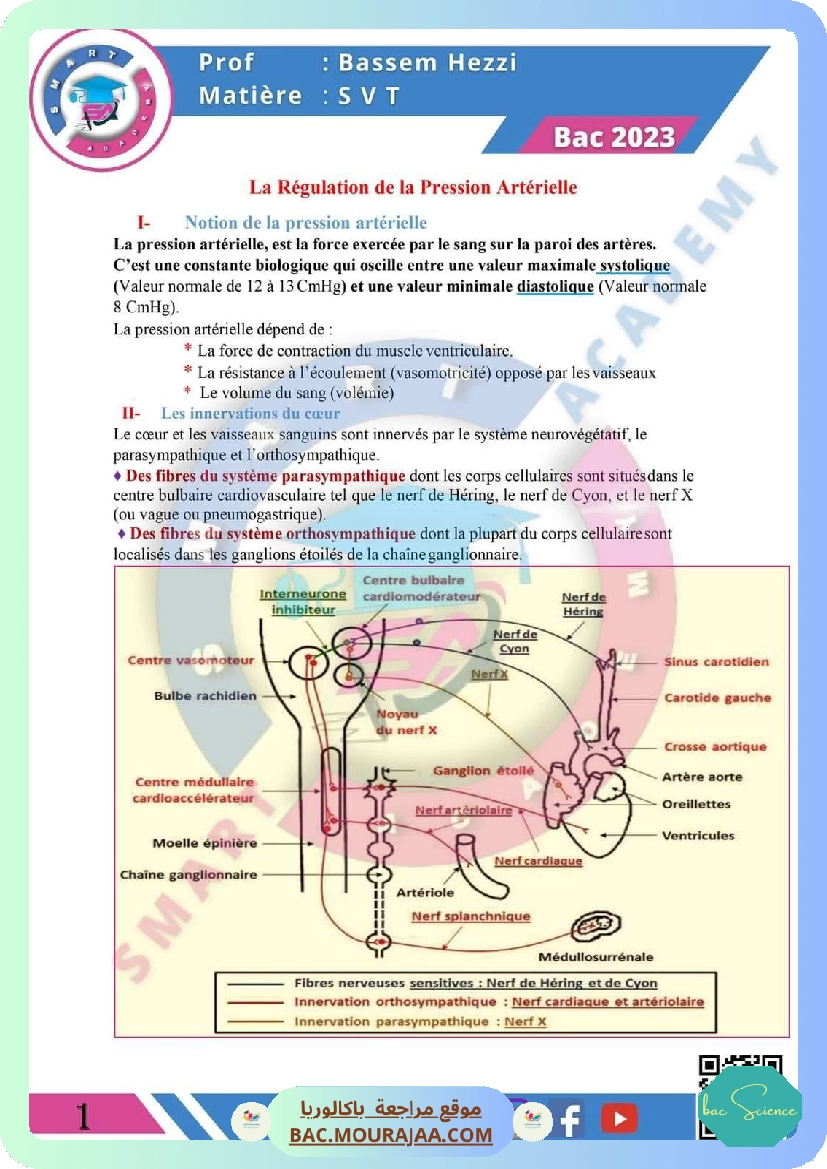 cour la regulation de la pression arterielle