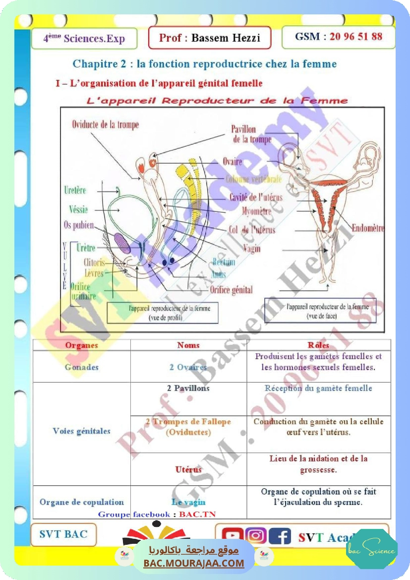 cours svt la fonction reproductrice chez la femme