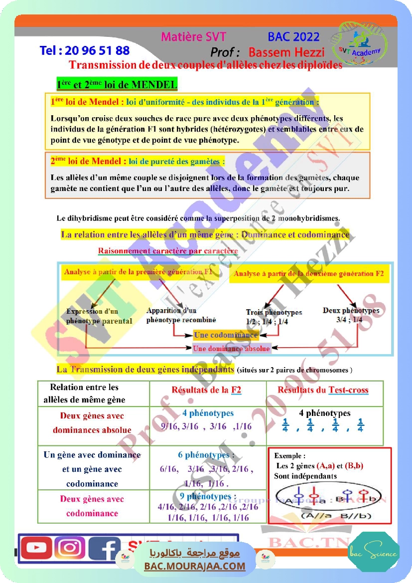 resume svt transmission de deux couples