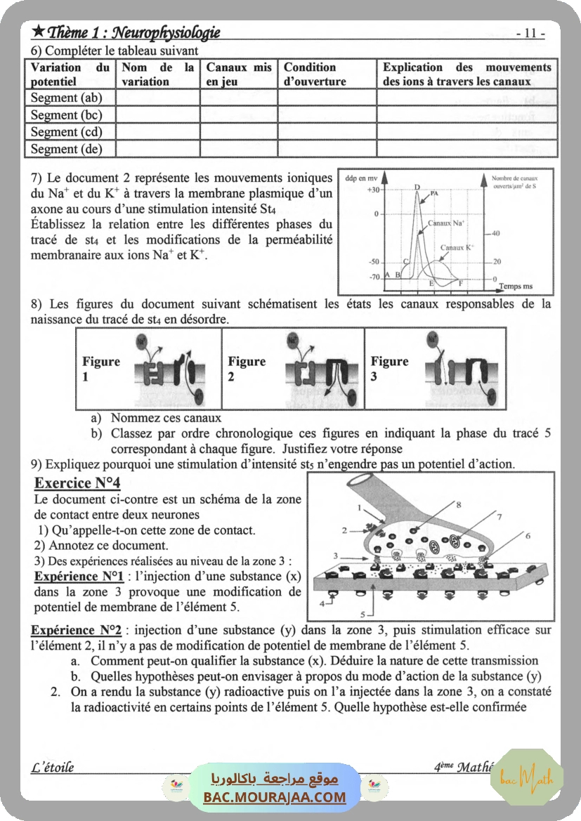 Annales_Annabac_2020_SVT