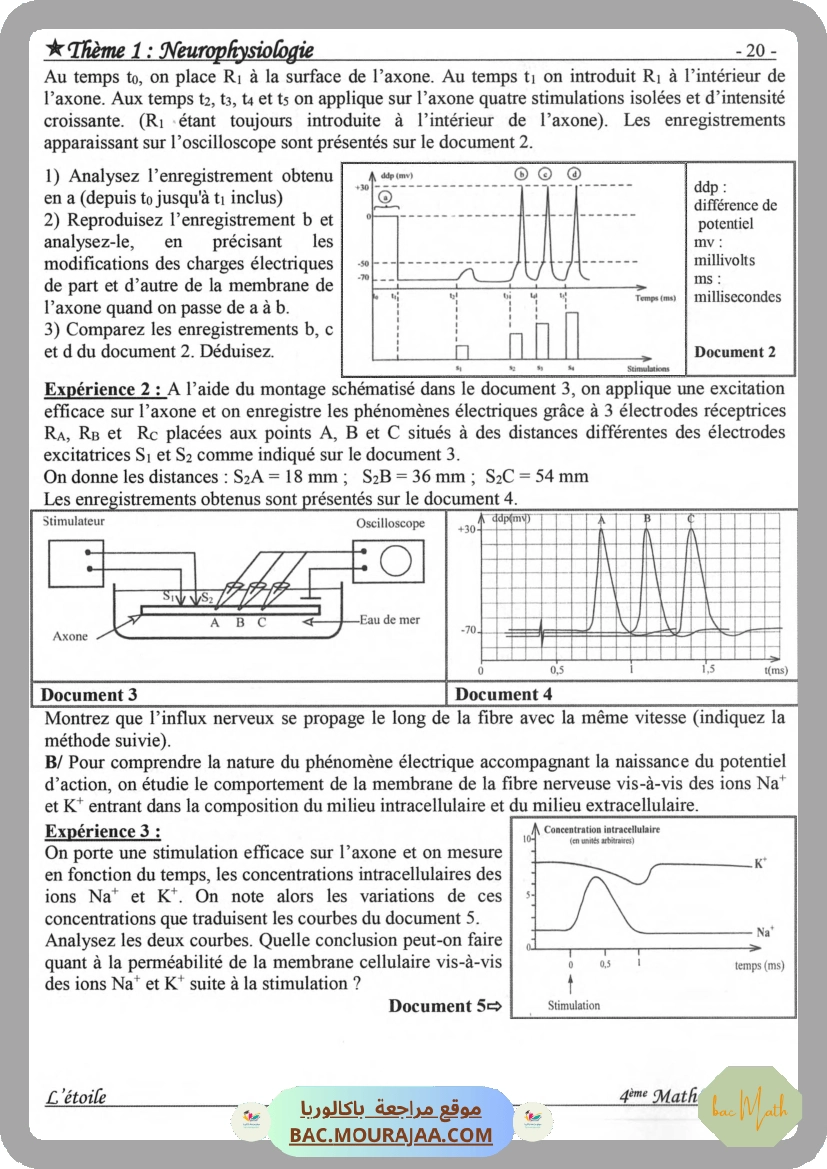Annales_Annabac_2020_SVT