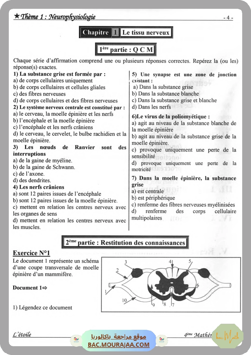 Annales_Annabac_2020_SVT
