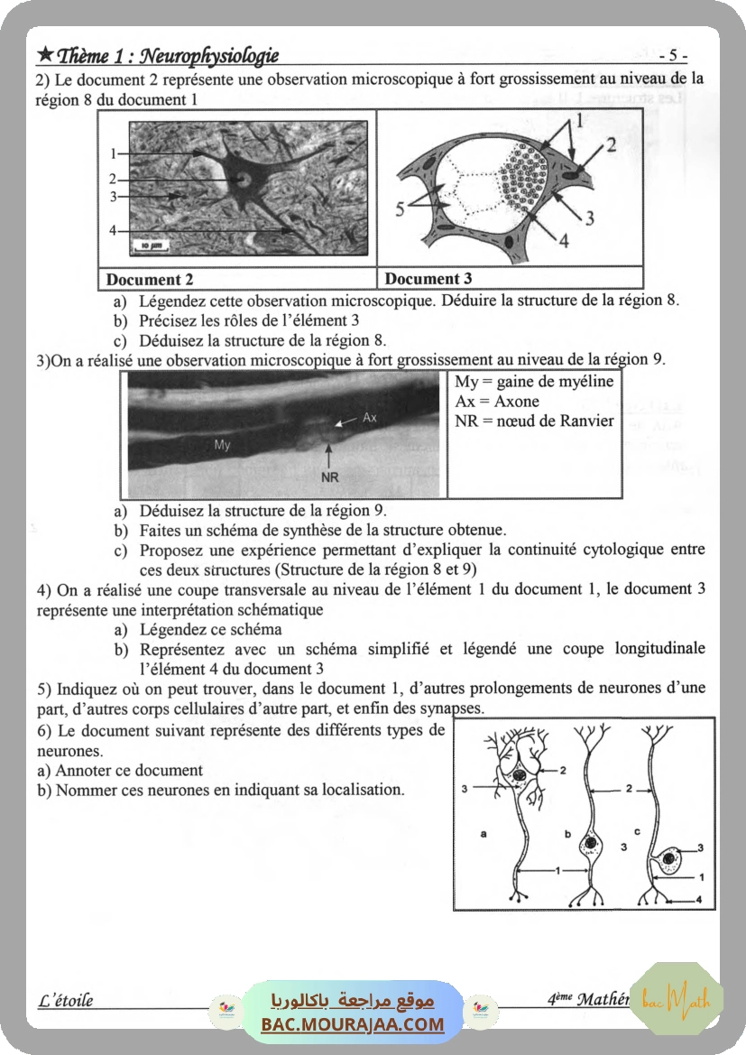 Annales_Annabac_2020_SVT