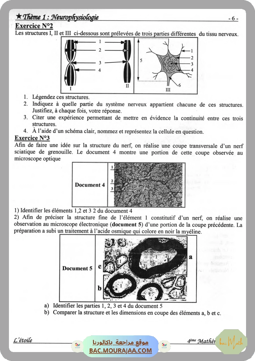 Annales_Annabac_2020_SVT