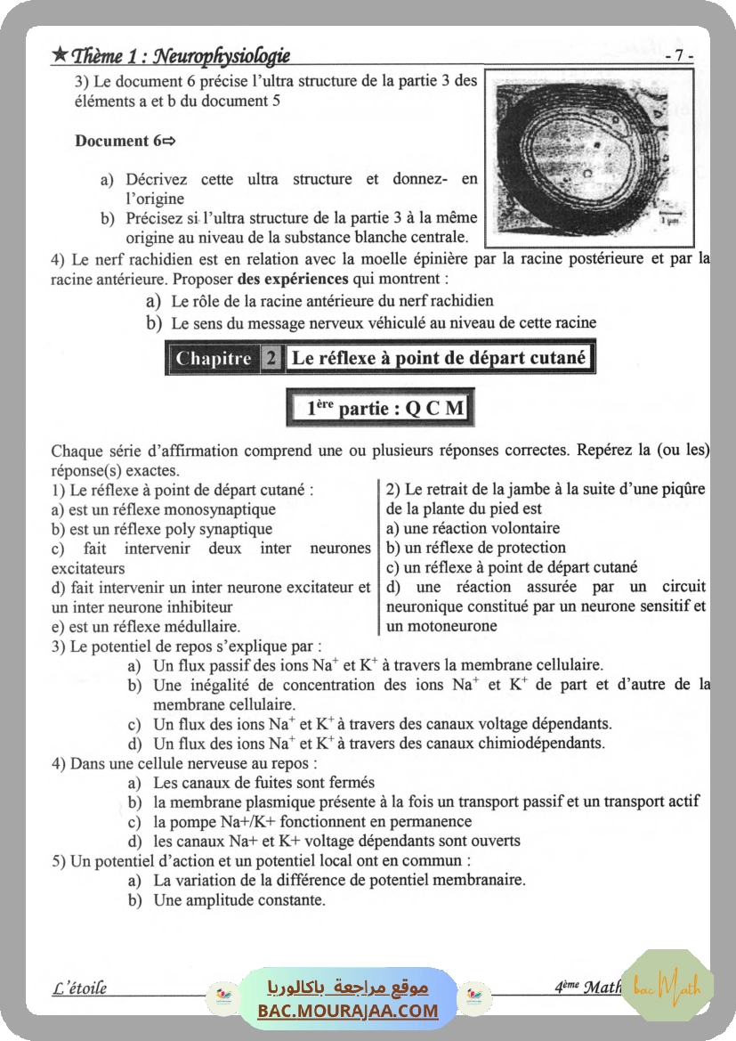 Annales_Annabac_2020_SVT