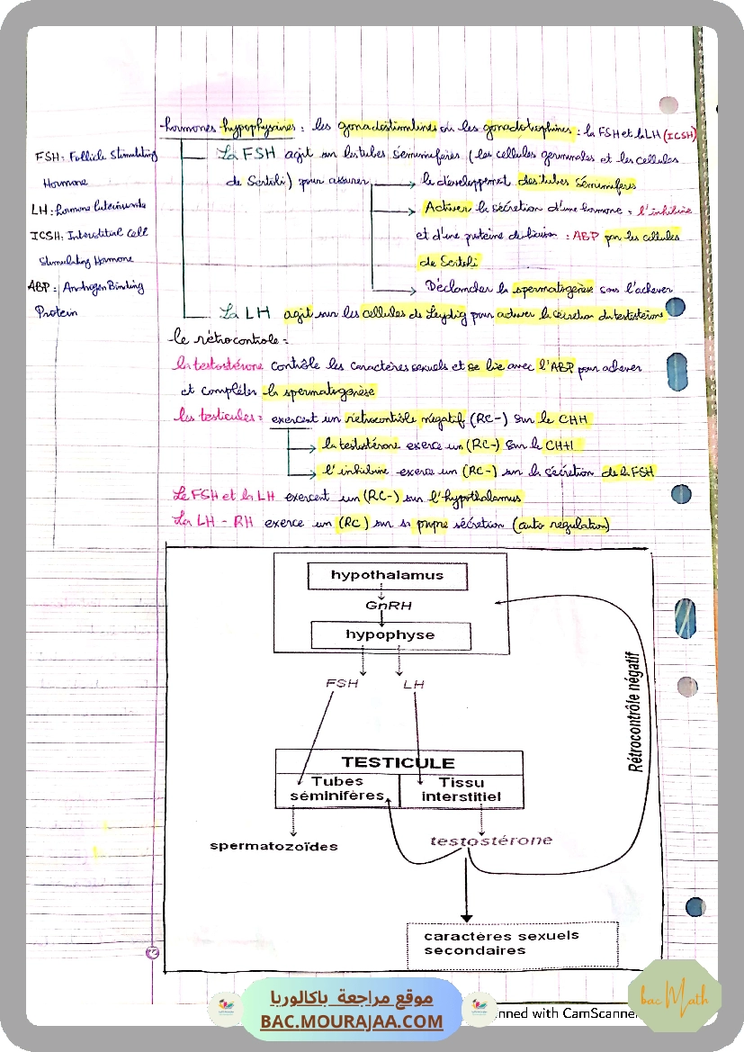 fonction_logatithme_neperien_serie_corrige