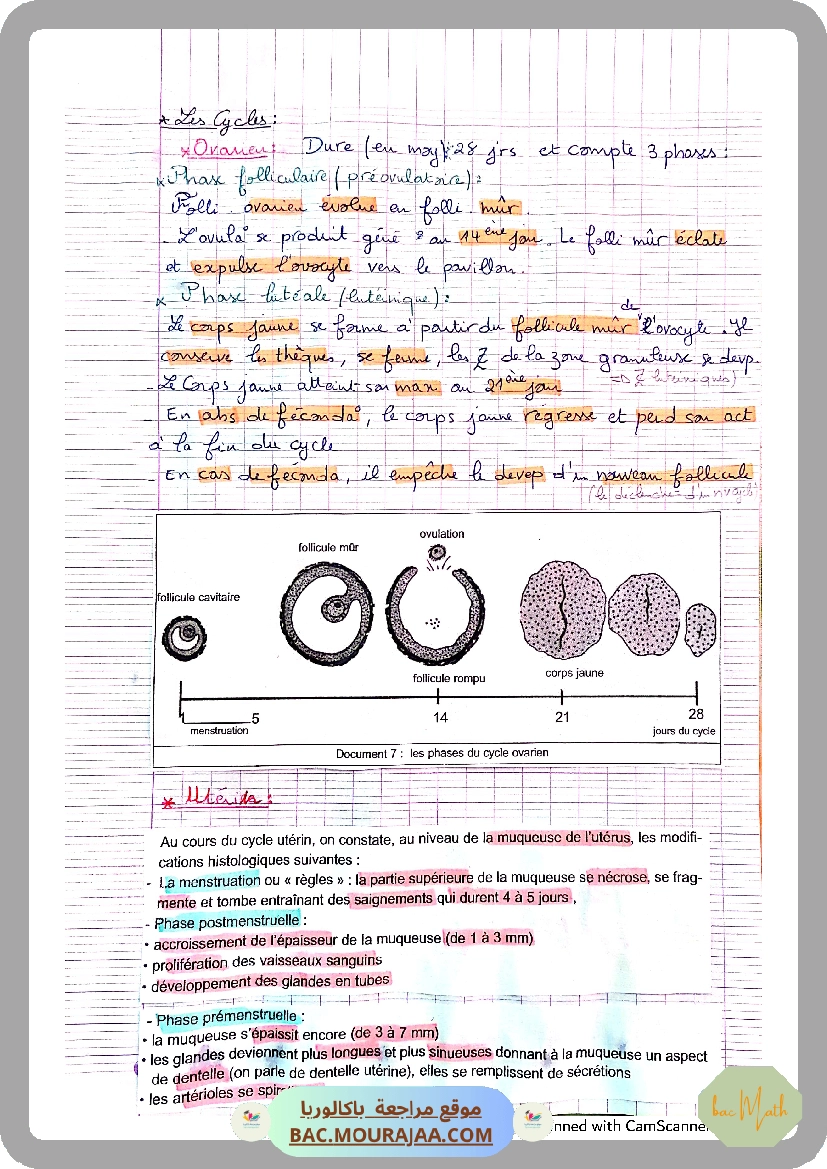fonction_logatithme_neperien_serie_corrige