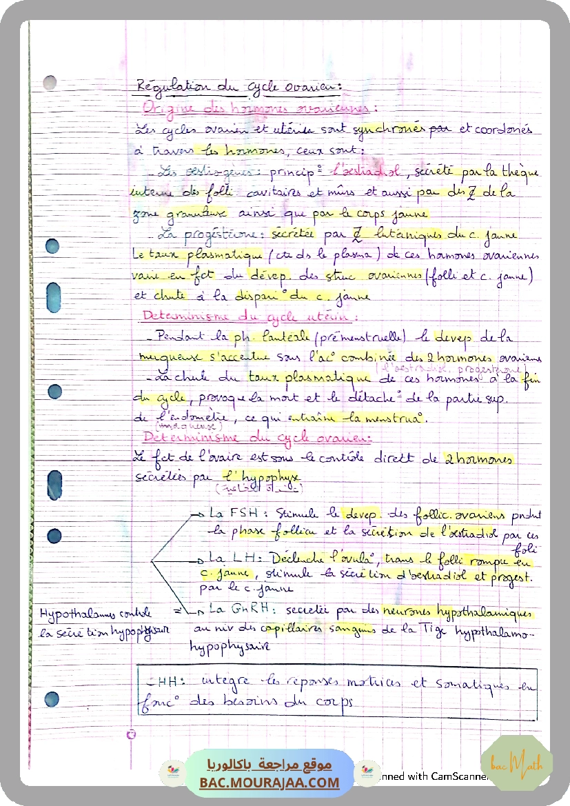 fonction_logatithme_neperien_serie_corrige