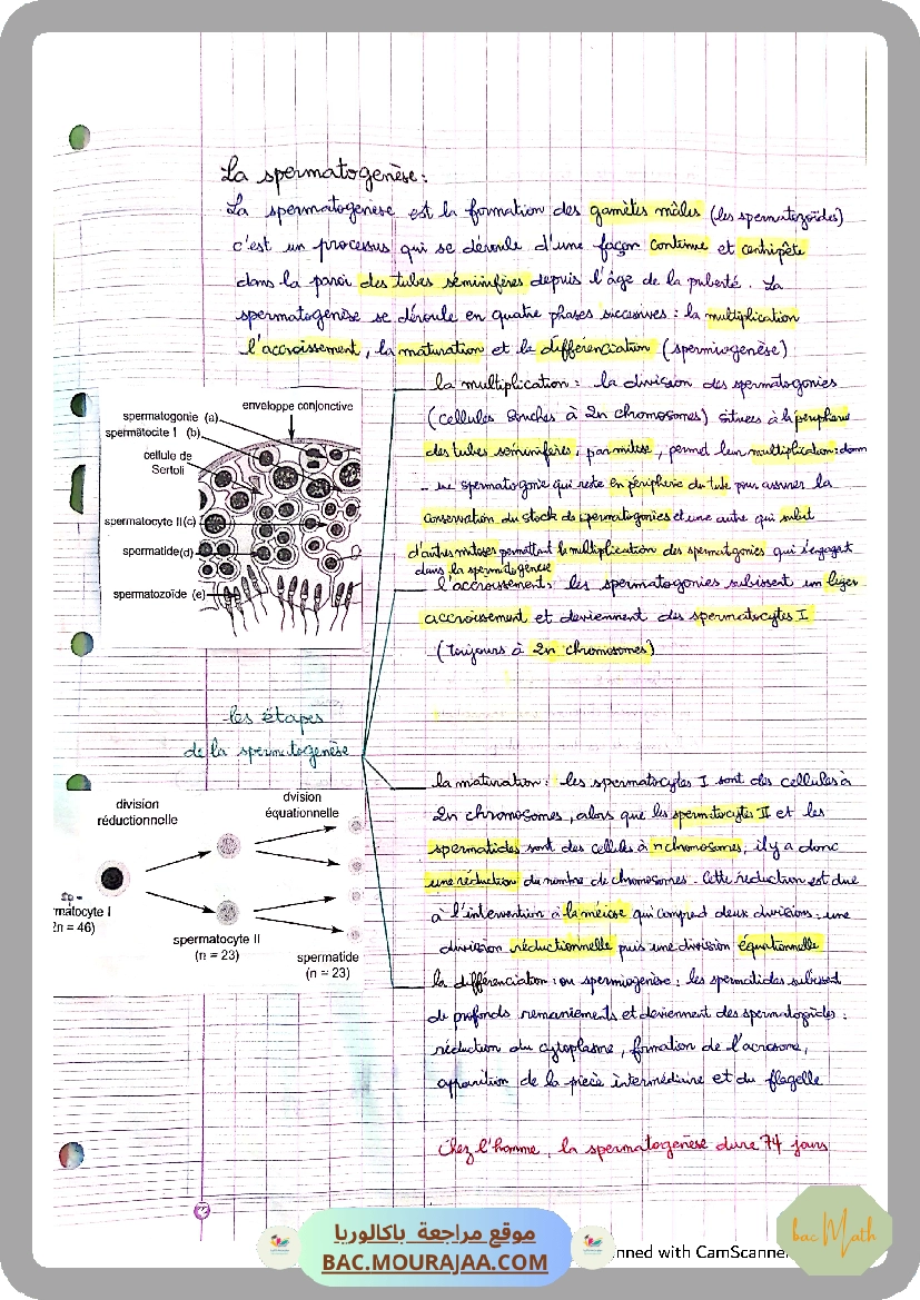 fonction_logatithme_neperien_serie_corrige