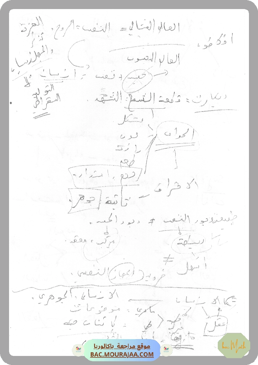 1.الأنانة_الوجه_المغالطي_للإنية