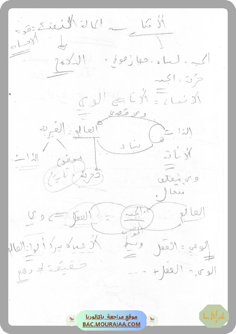 1.الأنانة_الوجه_المغالطي_للإنية