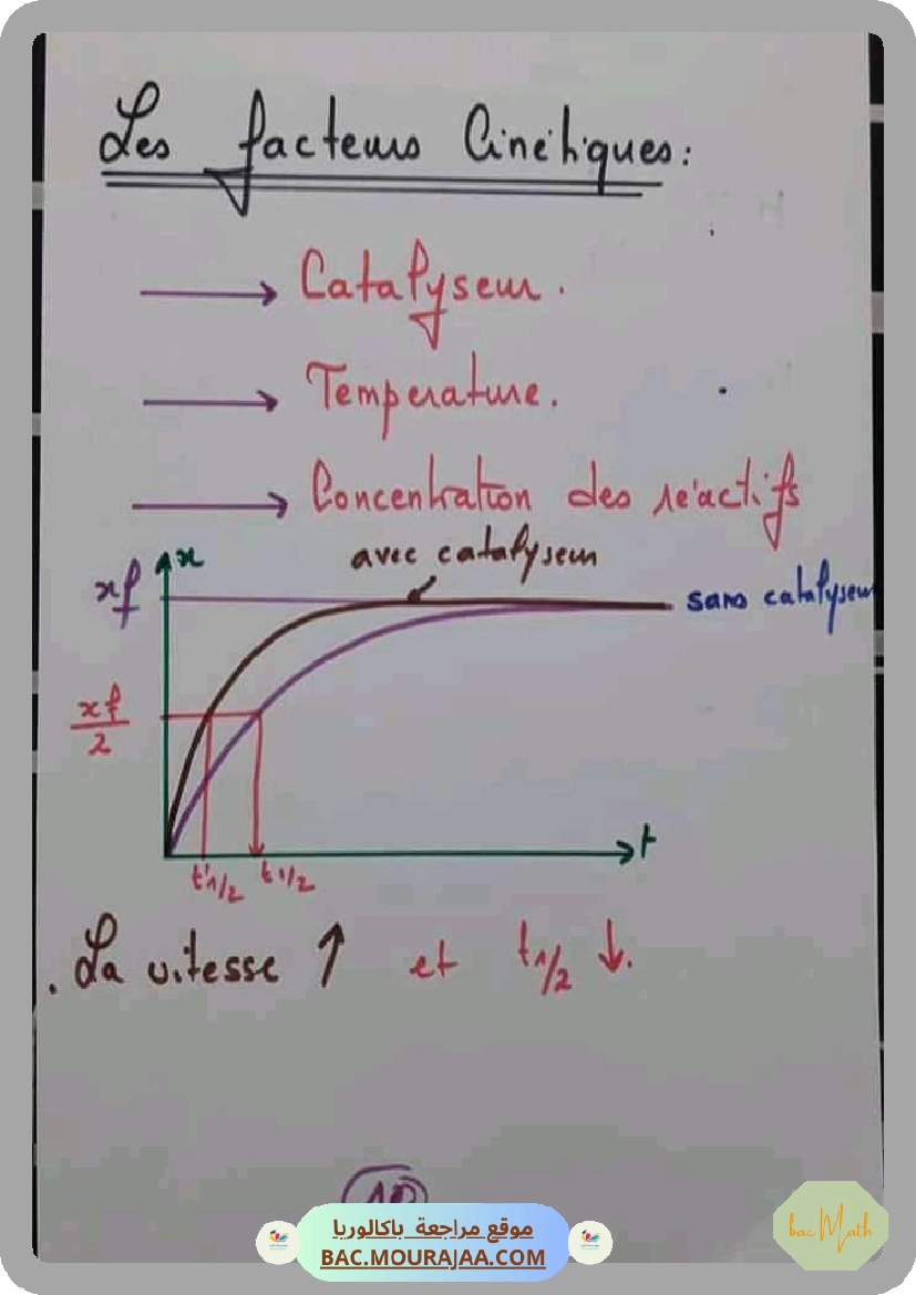 الإنساني_بين_الكثرة_والوحدة2