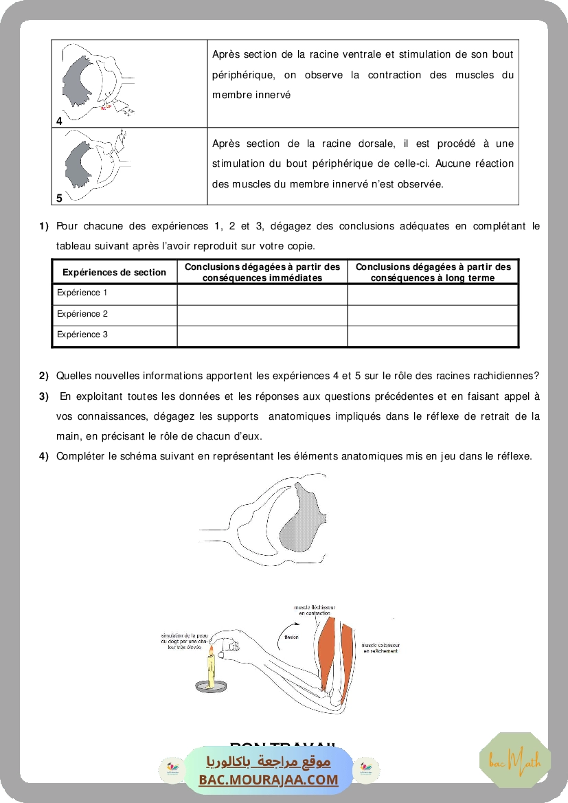 Devoir_de_Contrôle_N1_SVT_Bac_Mathematiques