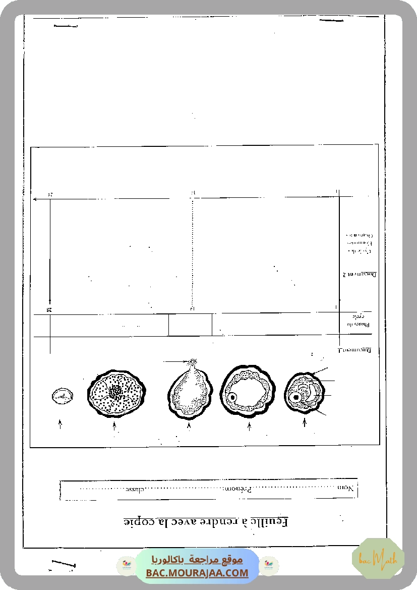 Devoir_de_contrôle_1_SVT_Bac_Math