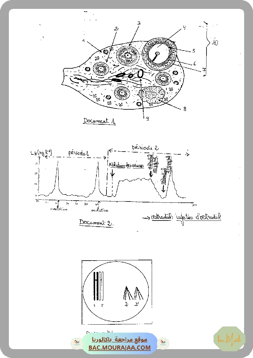 Devoir_de_contrôle_1_SVT_Bac_Math