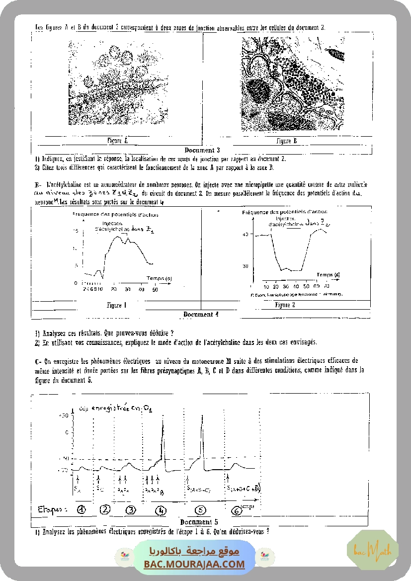 devoir_synthese_n_2_svt_bac_math