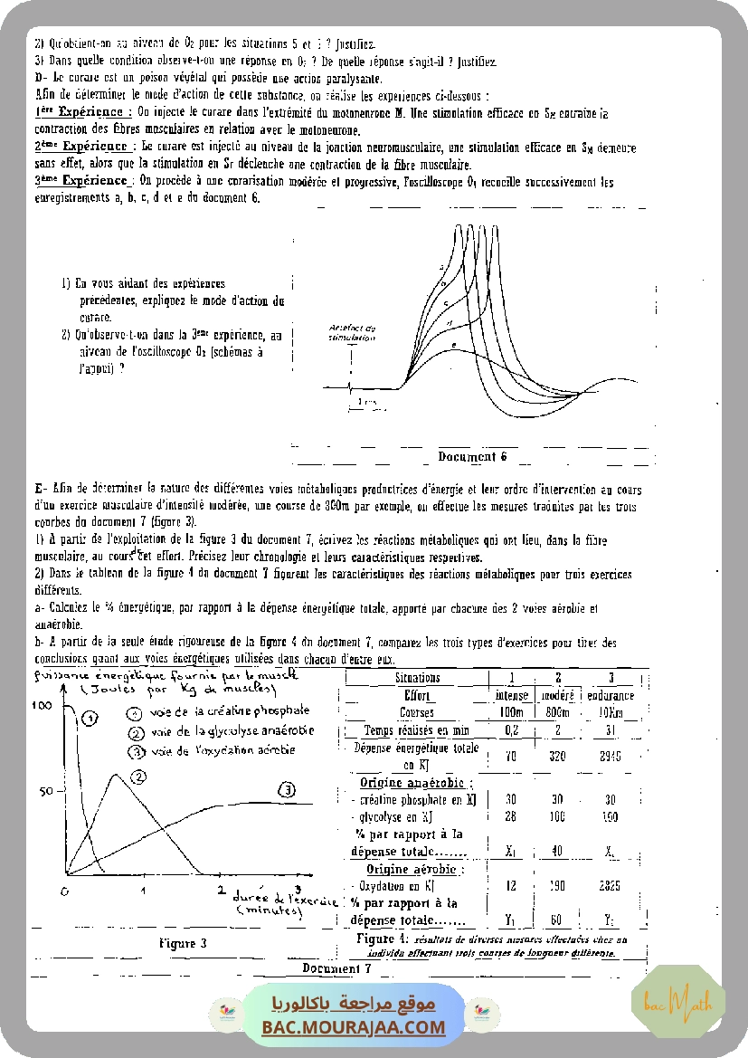 devoir_synthese_n_2_svt_bac_math