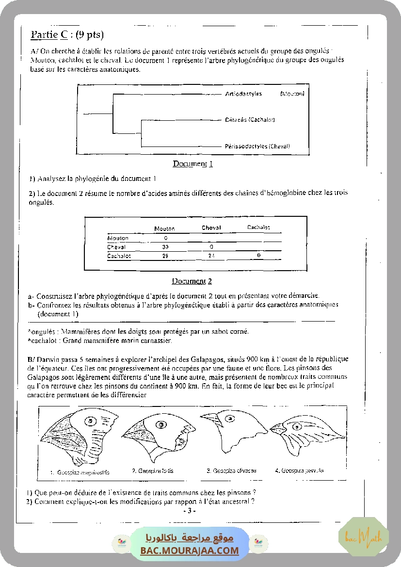 devoir_SVT_bac_blan_bac_math