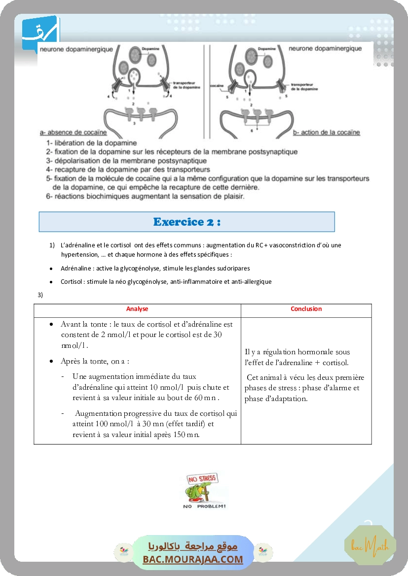 CMS_BAC_MATH_T02
