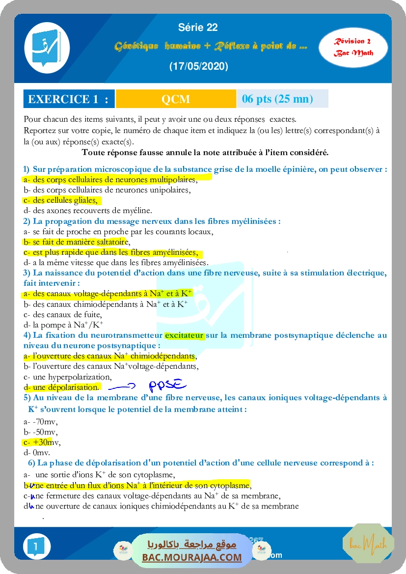 Gh + Reflexe