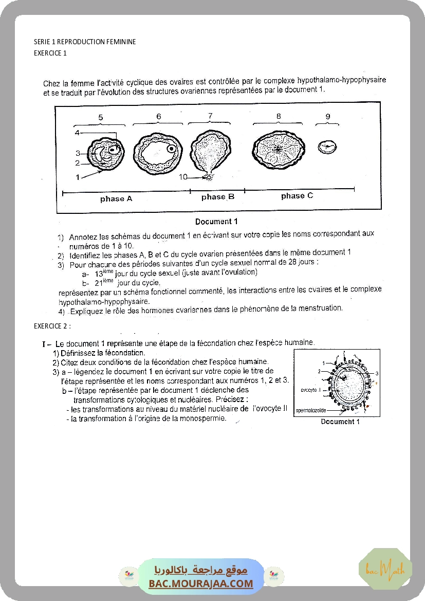SERIE 1 REPRODUCTION FEMININE (2).docx
