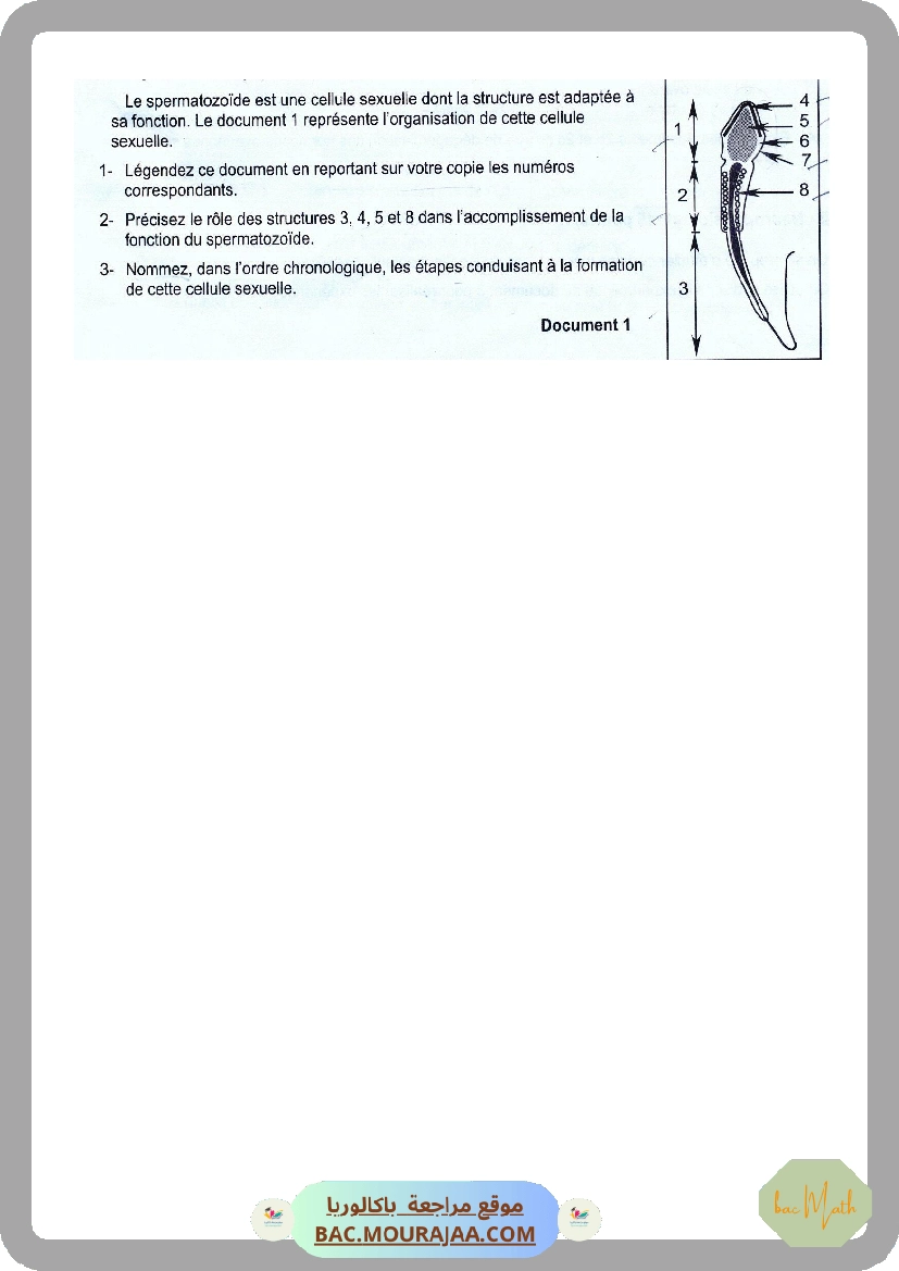 SERIE_1_REPRODUCTION_FEMININE_(2).docx