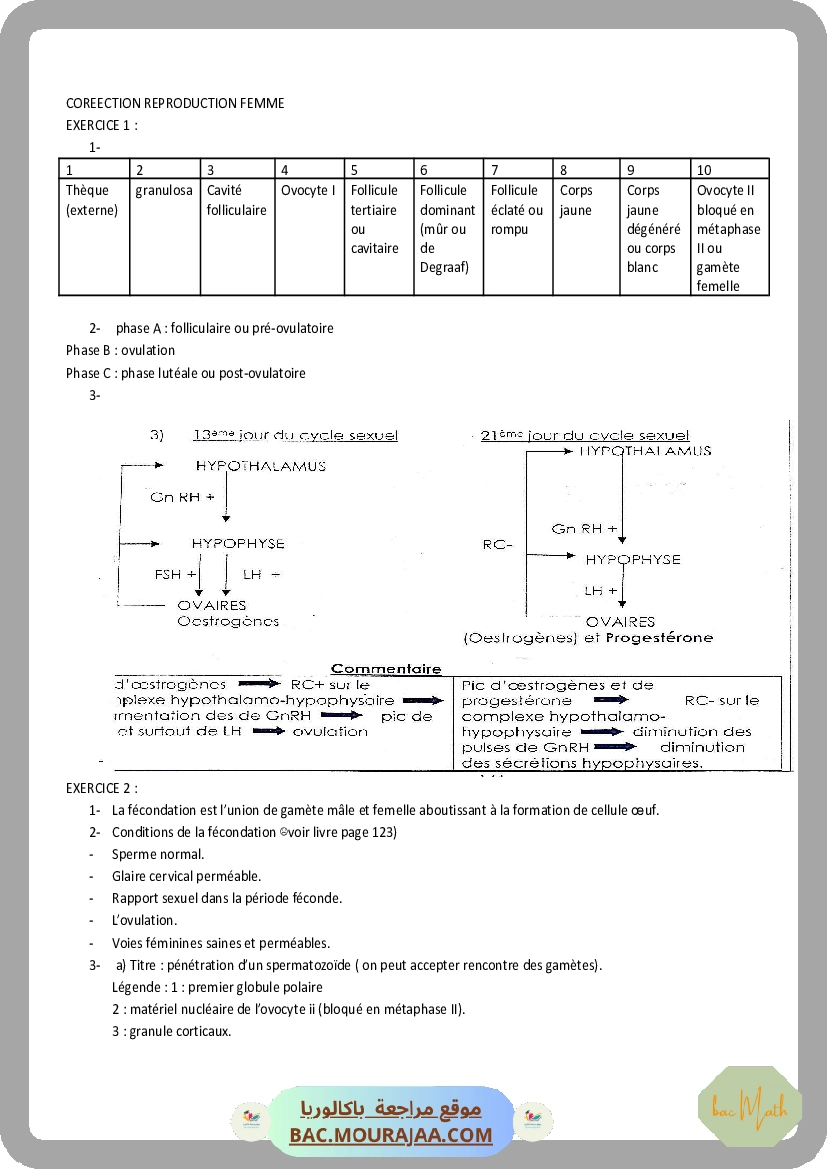 SERIE_1_REPRODUCTION_FEMININE_(2).docx