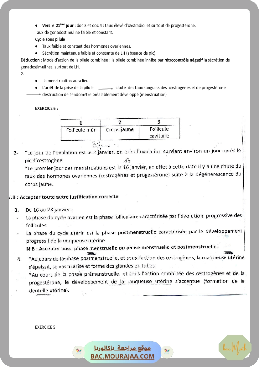 SERIE_1_REPRODUCTION_FEMININE_(2).docx