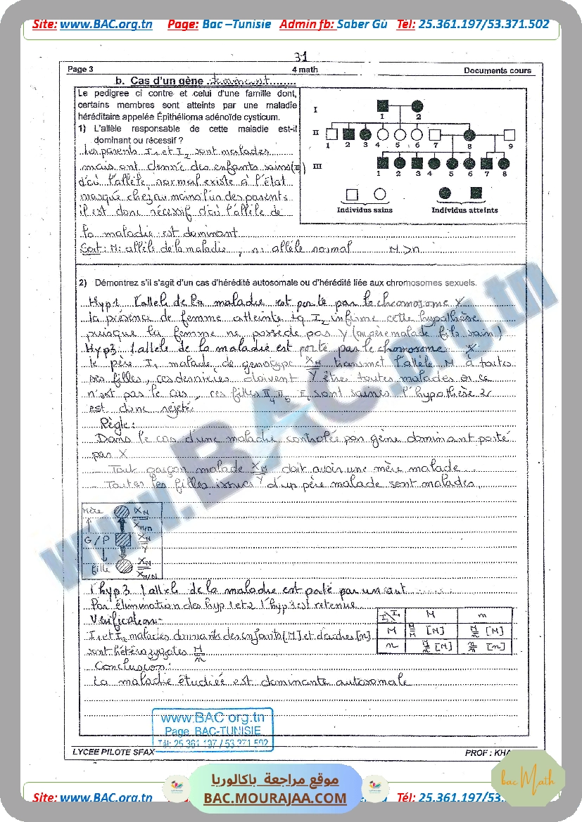 SERIE_GENETIQUE_1.docx