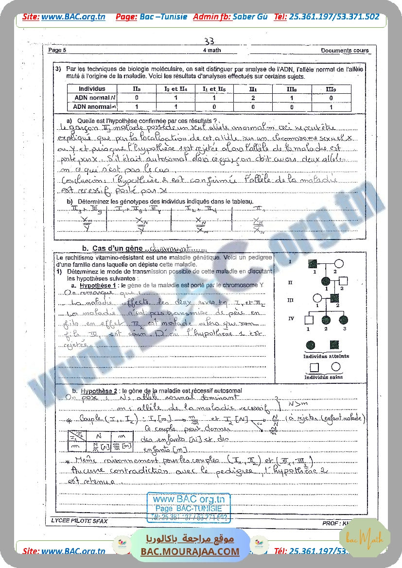 SERIE_GENETIQUE_1.docx