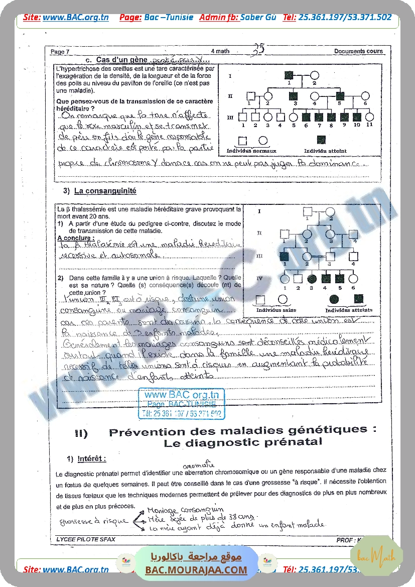 SERIE_GENETIQUE_1.docx