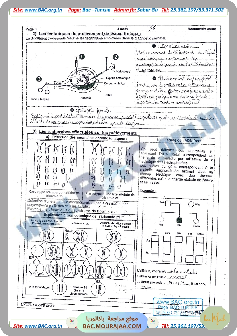 SERIE_GENETIQUE_1.docx
