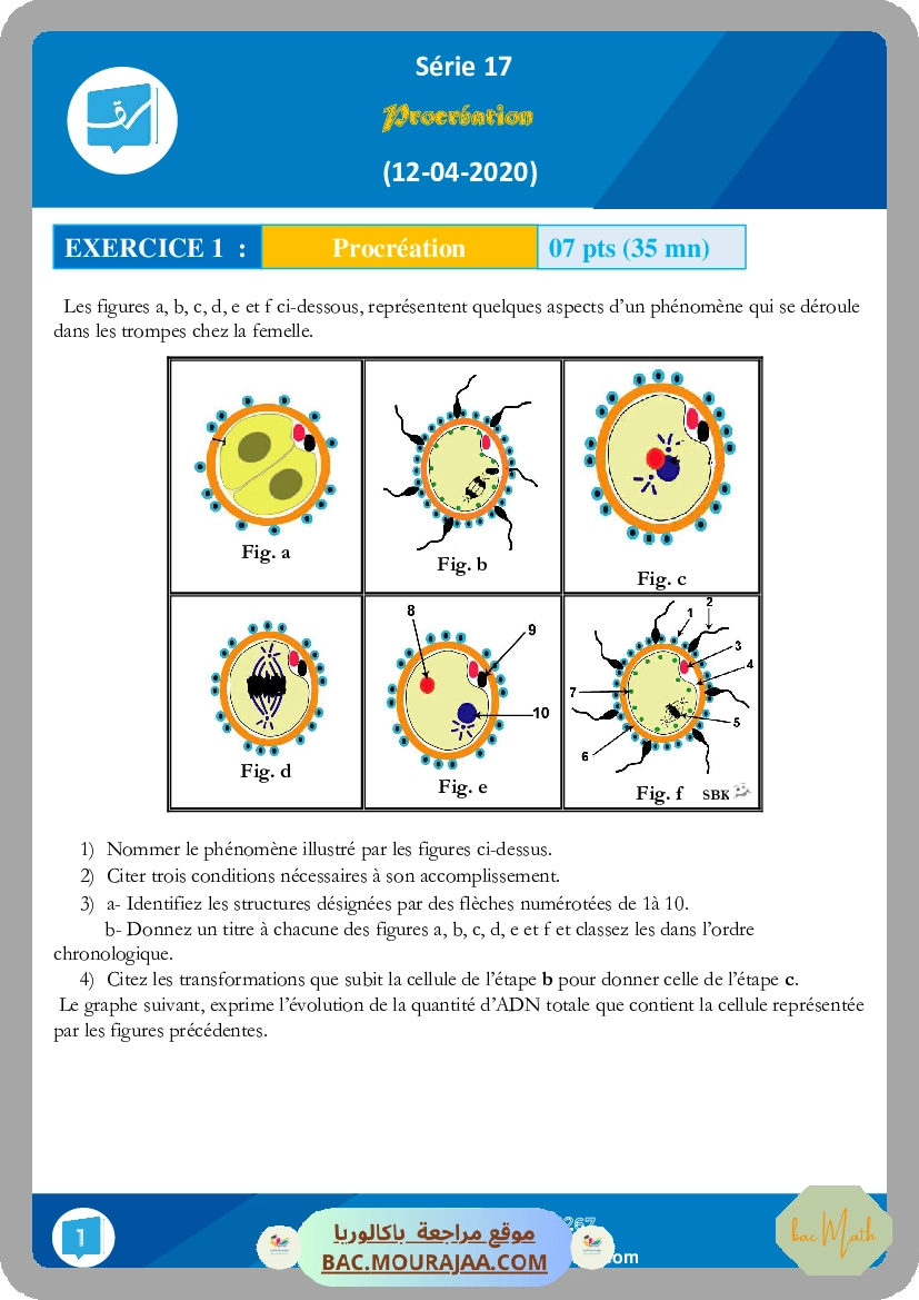 Serie 17 procreation (12-04-2020)