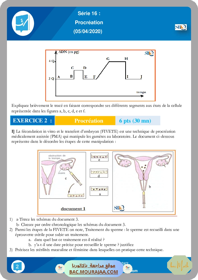 Serie_17_procreation_(12-04-2020)