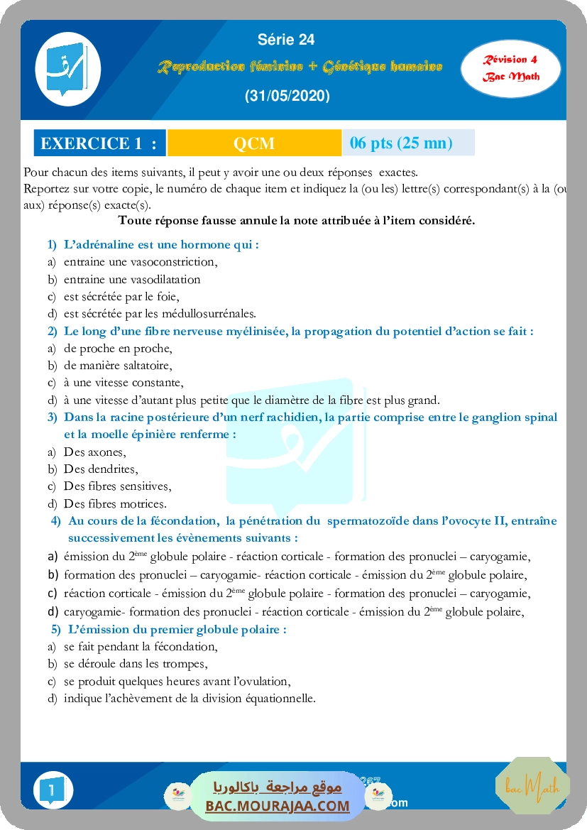 Serie 24 (Revision 4) (31-05-2020)