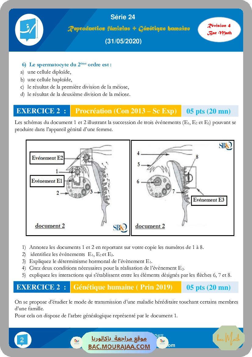 Serie_24_(Revision_4)_(31-05-2020)