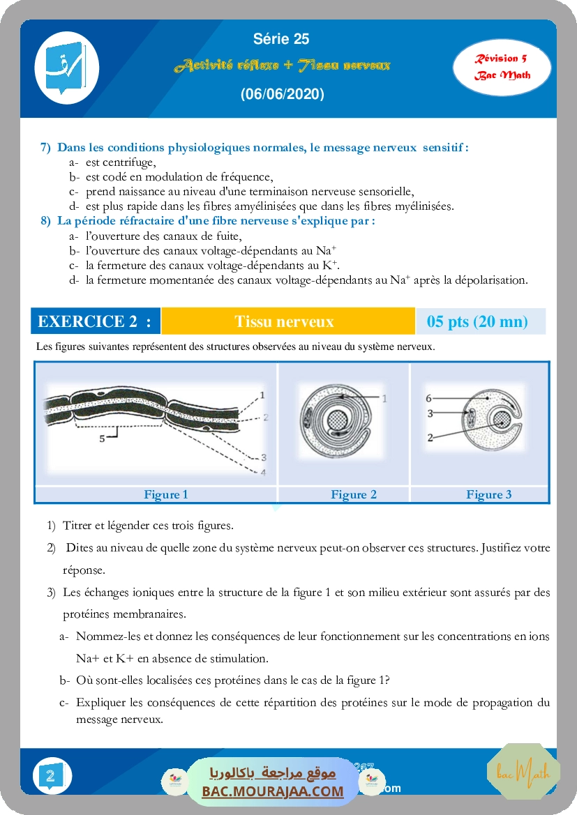 Serie_25_(Revision_5)_(06-06-2020)