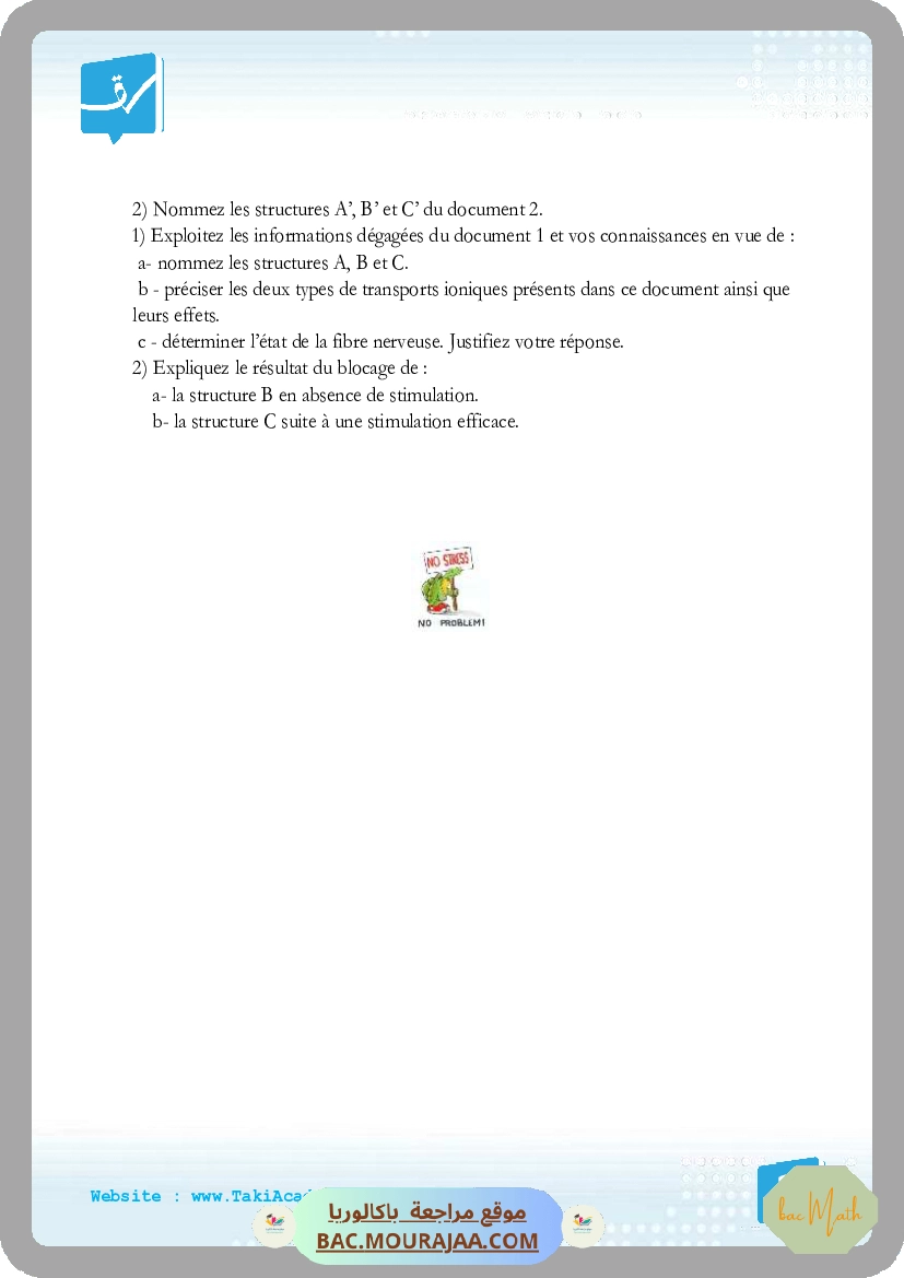Serie_2_20-10-2019_reflexe_myotatiquex