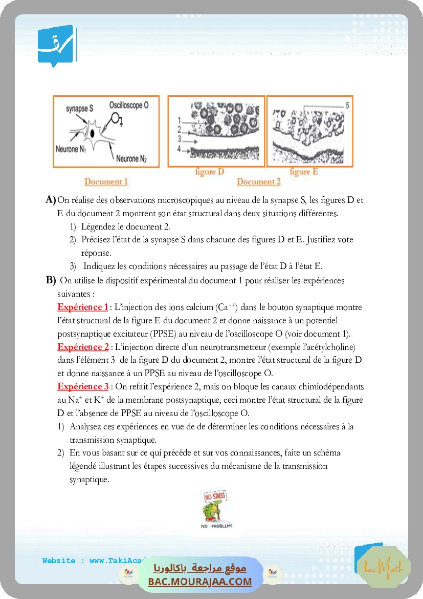 Serie_3_27-10-2019_reflexe_myotatiquex