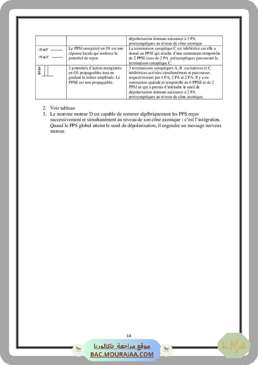 Serie_Neurophysiologie_ _Corrections
