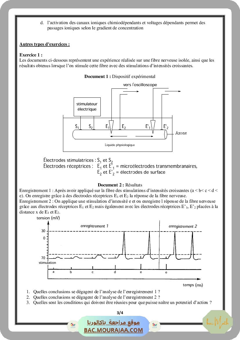 Serie_Neurophysiologie_ _Corrections