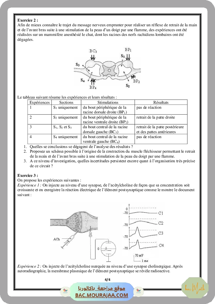 Serie_Neurophysiologie_ _Corrections