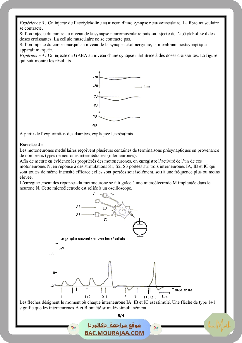 Serie_Neurophysiologie_ _Corrections