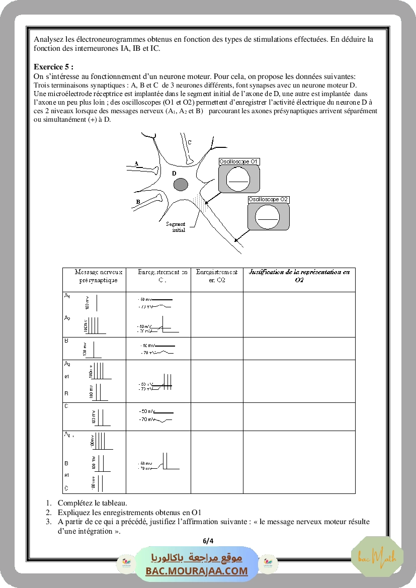 Serie_Neurophysiologie_ _Corrections