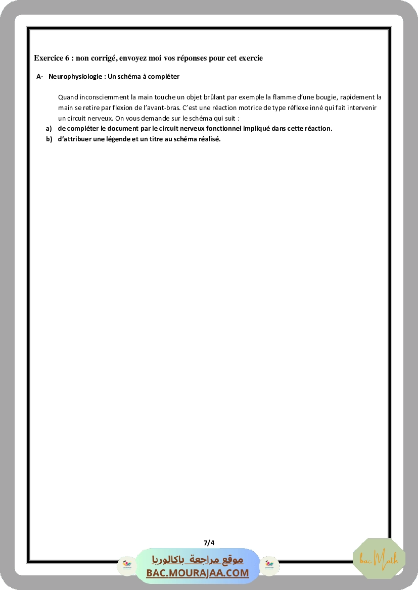 Serie_Neurophysiologie_ _Corrections