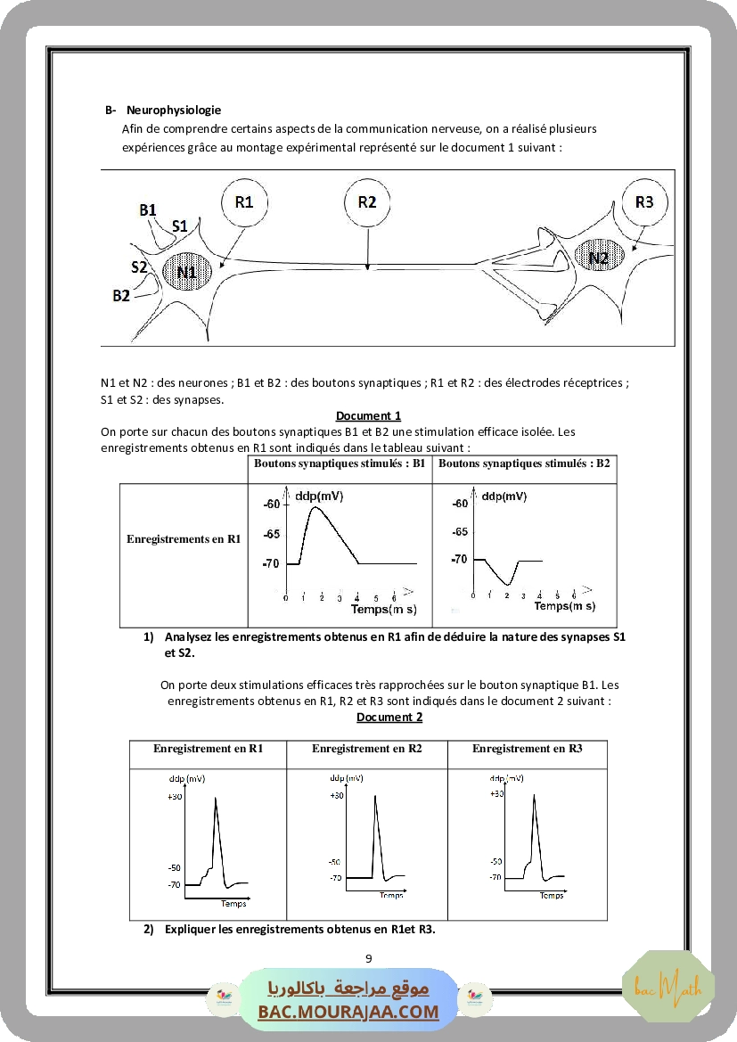 Serie_Neurophysiologie_ _Corrections