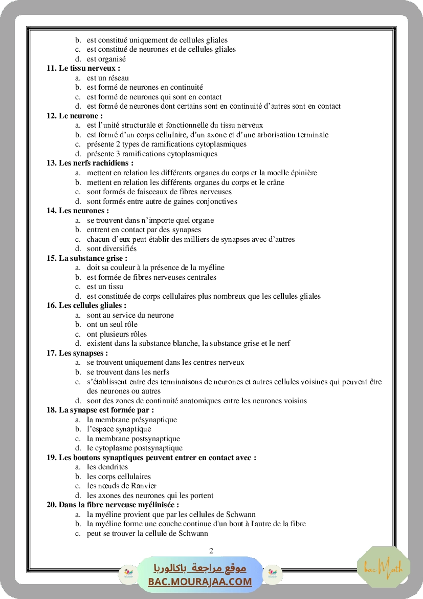 Serie_Tissu_Nerveux_ _Corrections